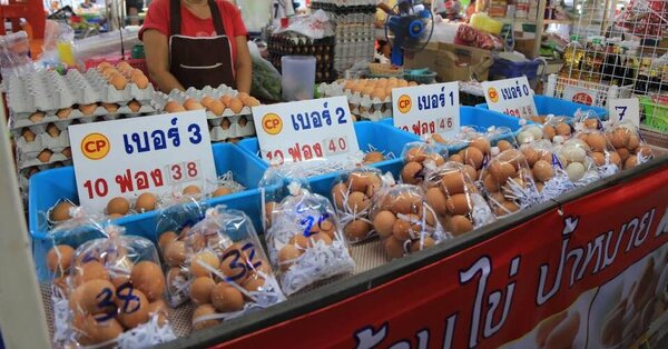 ตลาดสหกรณ์ 3 ปากเกร็ด ตลาดสด ปากเกร็ด ร้านไข่ไก่