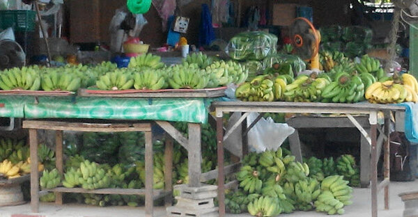 ตลาดใหม่ภักดี ตลาดเช้า ระนอง ร้านกล้วย