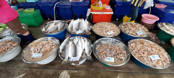 ตลาดใหม่ภักดี ตลาดเช้า ระนอง ร้านของทะเลสด