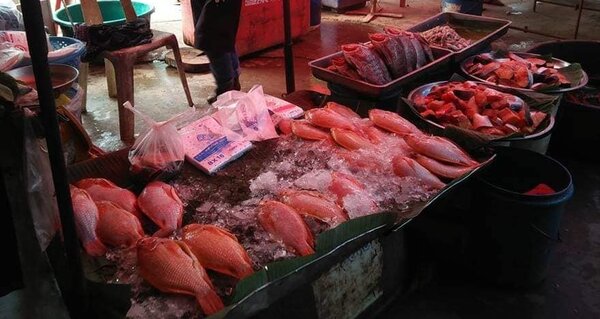ตลาดสุวรรณภูมิ ตลาดเช้า กำแพงเพชร ร้านปลาสด