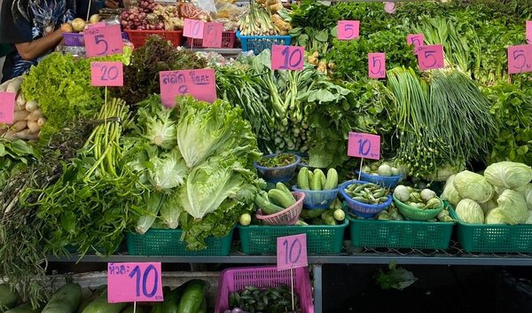 ตลาดกลางผักและผลไม้ ร้านผัก