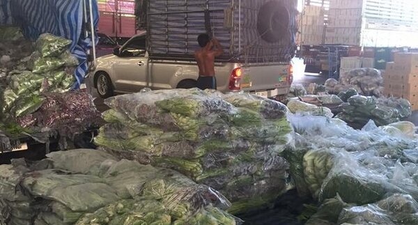 ตลาดพงศ์เจริญ หาดใหญ่ ตลาดกลางผักและผลไม้ ร้านผัก