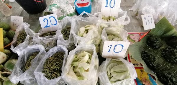 ตลาดสุวรรณภูมิ ตลาดสด กำแพงเพชร ร้านผักพื้นบ้าน