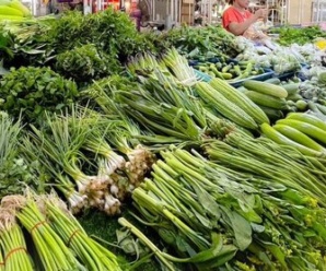 ตลาดสด ปทุมธานี ตลาดเจริญผล เปิดขายทุกวัน