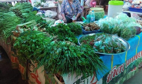 ตลาดสุวรรณภูมิ ตลาดสด กำแพงเพชร ร้านผักสด