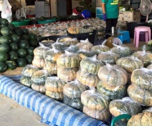 ตลาดพงศ์เจริญ หาดใหญ่ ตลาดกลางผักและผลไม้ เปิดขายทุกวัน