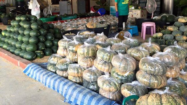 ตลาดพงศ์เจริญ ตลาดกลางผักและผลไม้ ร้านฟักทอง