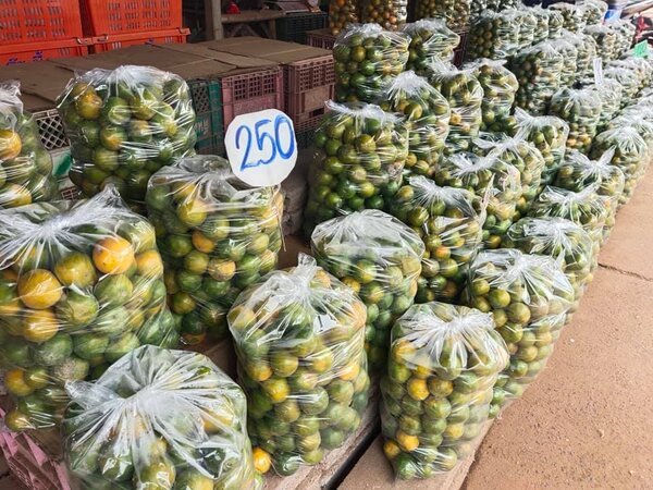 ตลาดเจริญศรี ตลาดค้าส่งผัก ผลไม้ ร้านส้ม