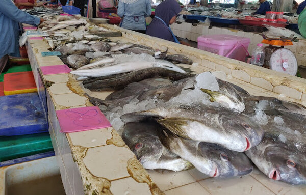 ตลาดเทศบาลตำบลกำแพง ตลาดเช้า สตูล ร้านปลาสด