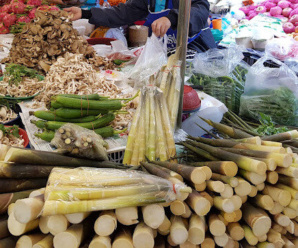 ตลาดอำนาจเจริญ ตลาดสดเอกชนวิชิตสิน อยู่ติดกับโรงพยาบาลอำนาจเจริญ