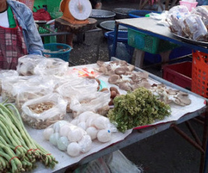 ตลาดสด ยโสธร ตลาดสดเทศบาลฟ้าหยาด ใกล้กับที่ว่าการอำเภอมหาชนะชัย