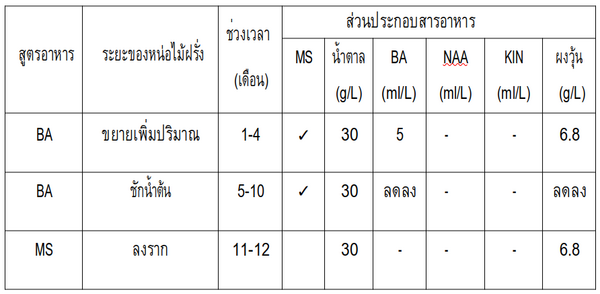 สูตรอาหารเพาะเลี้ยงเนื้อเยื่อกล้วย