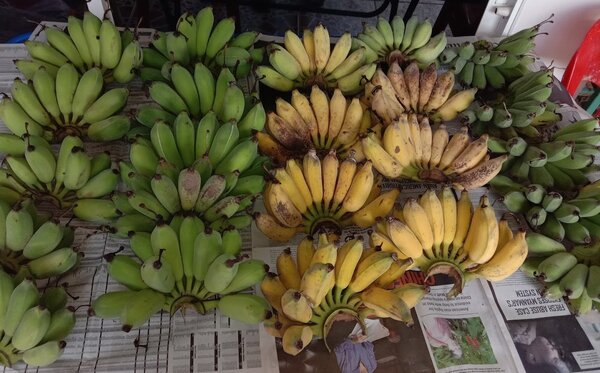 ตลาดสดเทศบาลเมืองคง ตลาดสดนครราชสีมา กล้วยน้ำว้า