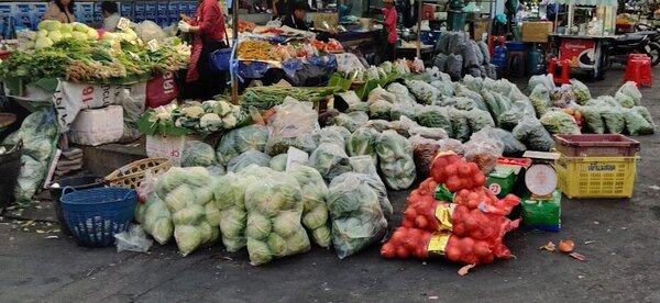 ผักขายส่ง