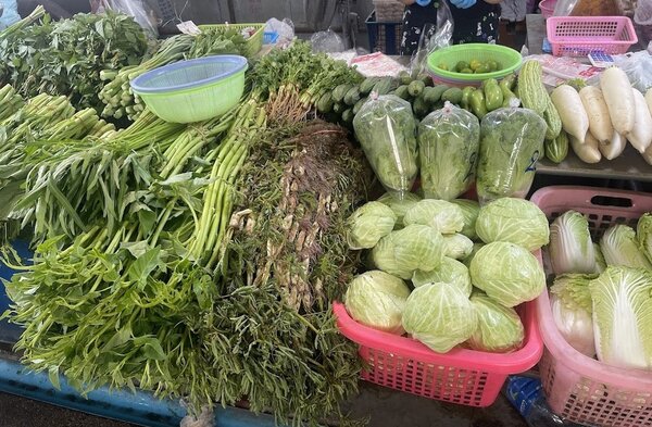 ตลาดหนองสมอ ตลาดสด ชลบุรี ผักสด