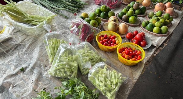 ตลาดสดเทศบาลตำบลท่าตูม ตลาดเช้า สุรินทร์ ผักสวนครัว