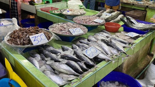 ตลาดแม่แดง ตลาดเช้า ระยอง ร้านของทะเล