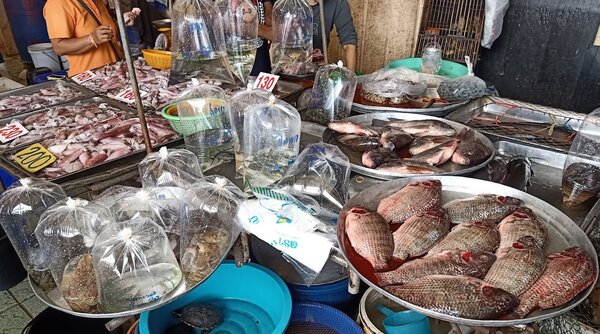 ร้านของทะเลสด