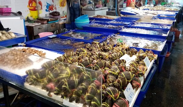 ร้านของทะเลสด