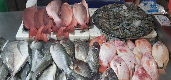 ตลาดเช้าภูเก็ต ตลาดสด เทศบาลเทพกระษัตรี ร้านปลาสด