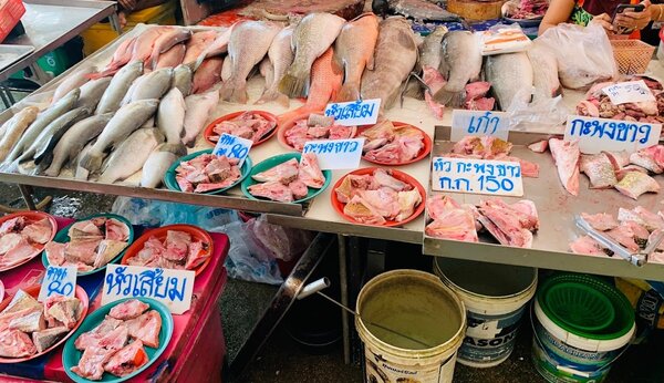 ร้านปลาสด