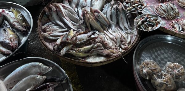ตลาดสดเทศบาลตำบลท่าตูม หรือ ตลาดสด ท่าตูม ร้านปลาสด