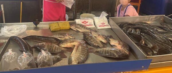 ตลาดหนองสมอ ตลาดเย็น ชลบุรี ร้านปลาสด