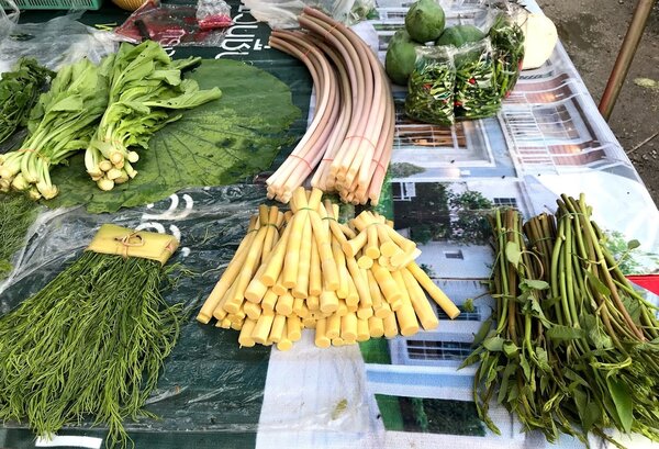 ตลาดสดเทศบาลเมืองชัยนาท ตลาดสดชัยนาท ร้านผักพื้นบ้าน