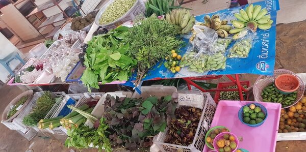 ตลาดสด เทศบาลเทพกระษัตรี ตลาดสดภูเก็ต ร้านผักพื้นบ้าน