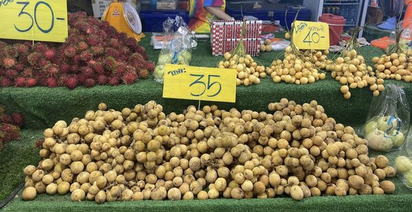 ตลาดเอกสิน ระยอง ตลาดเช้า ระยอง ร้านลองกอง