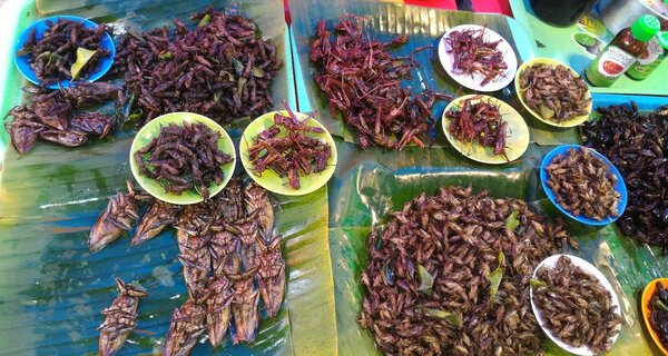 ตลาดบัวขาวมาร์เก็ต ตลาดเมืองพัทยา แมลงทอด