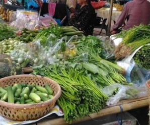 ตลาดเช้า มุกดาหาร ตลาดสดเทศบาลดอนตาล ใกล้สถานีตำรวจภูธรขอนตาล