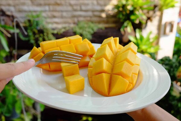 มะม่วงแดงจักรพรรดิ์ วิธีกินมะม่วงแดงจักรพรรดิ์ มะม่วงแดงจักรพรรดิ์สุก