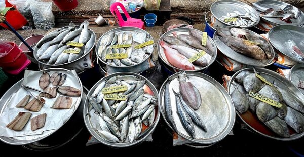 ร้านปลาสด