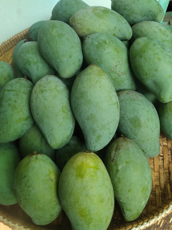 ิิิมะม่วงเขียวไข่กา