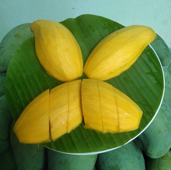 มะม่วงเขียวไข่กาสุก