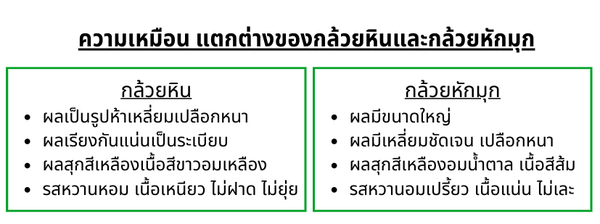ความแตกต่างของกล้วย